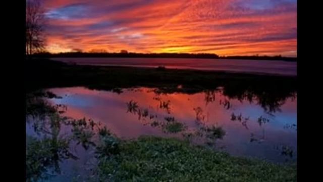 С Днём Рождения Милая Танечка! Пусть исполнятся все твои Желания! смотреть онлайн
