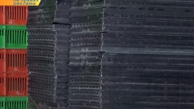 Отходы — в доходы! смотреть онлайн