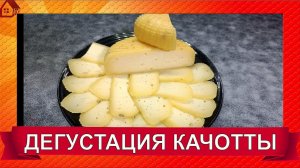 ДЕГУСТАЦИЯ СЫРА - КАЧОТТА с пажитником, полутвердый итальянский сыр