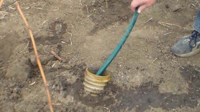 Виноград Влагозарядный полив, Способы полива смотреть онлайн