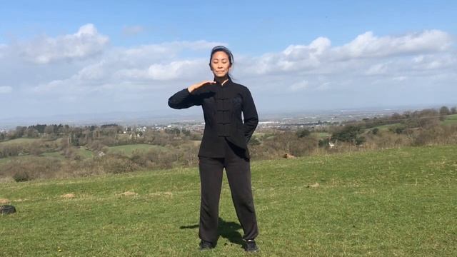 Aphex Twin -- Lichen