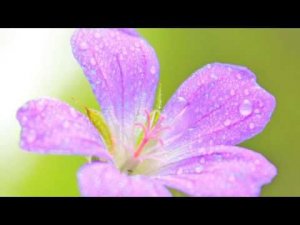 релакс красивая музыка Шопен мелодия рая