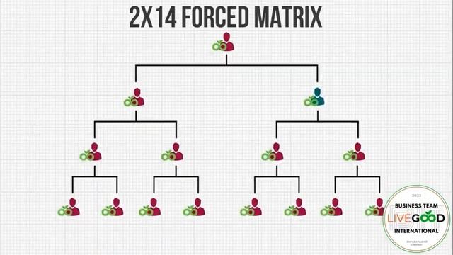LIVE GOOD KOMPANIYASI! PREZENTATSIYA! смотреть онлайн