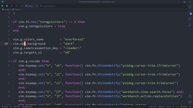 Convert your init.vim to a init.lua! — Neovim & VsCode смотреть онлайн
