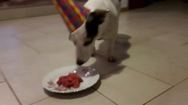 День рождение Варюшки - 6 лет смотреть онлайн