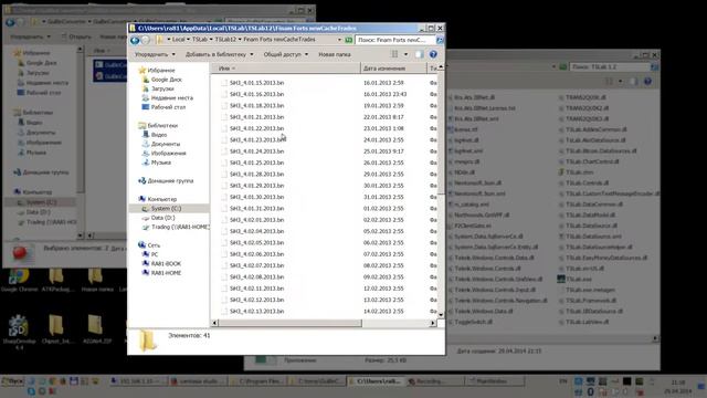 Конвертер тикового кэша TSLab. GuiBinConverter от RusAlgo смотреть онлайн
