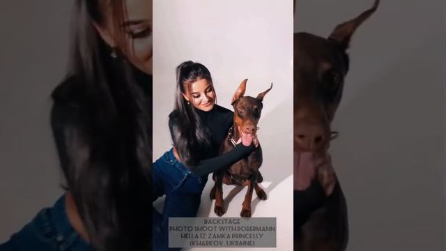 Фотосессия с доберманом HELLA IZ ZAMKA PRINCESSY, Харьков, Украина @doberman_hella смотреть онлайн