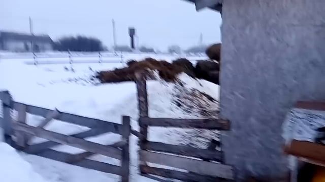 Зачем я открыл КФХ.