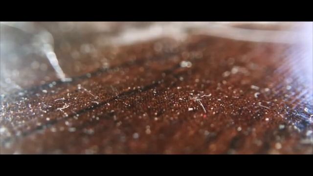 Shedding (2020) a Film for Cat People, the Trailer смотреть онлайн