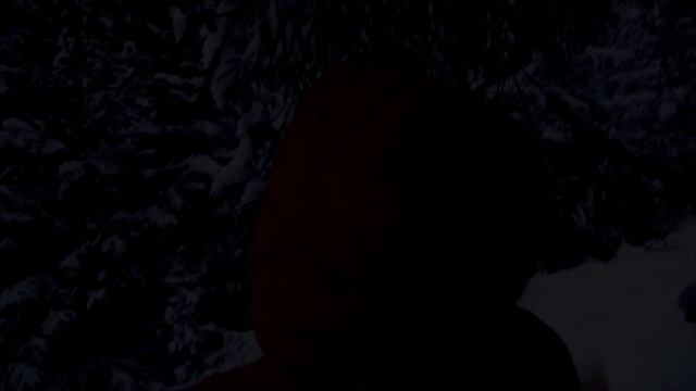 Видеоролик г. Нижняя Тура