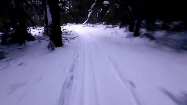 Моё лыжное приключение на Синие Скалы, Родина, Краснотурьинск смотреть онлайн