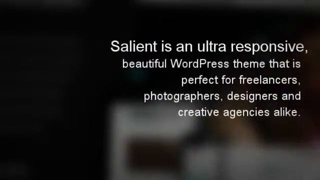 Salient - Responsive Portfolio & Blog Theme + Download смотреть онлайн