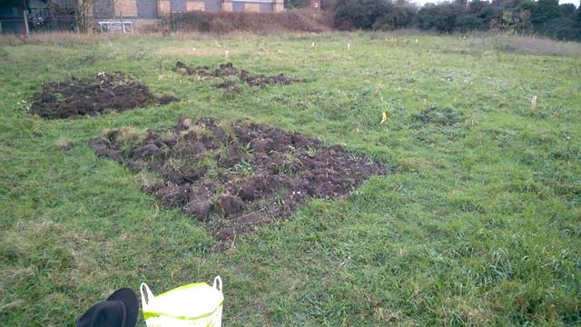 Pete's Garden E2: New Allotment Tour & Sowing Welsh Onions смотреть онлайн