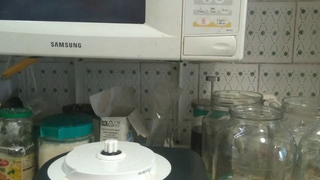 Зоопарк и Дикие Животные