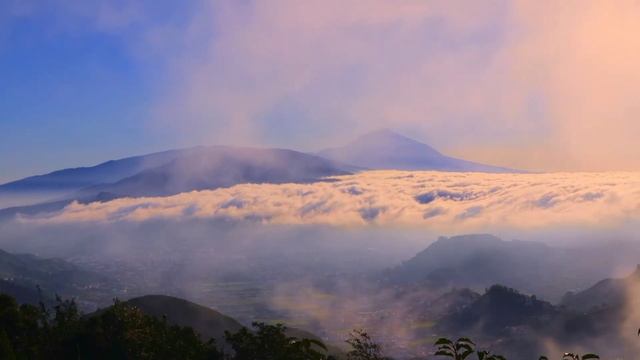 Насыпьте соль, скажите одну фразу и узнаете, кто вредит вам!... смотреть онлайн