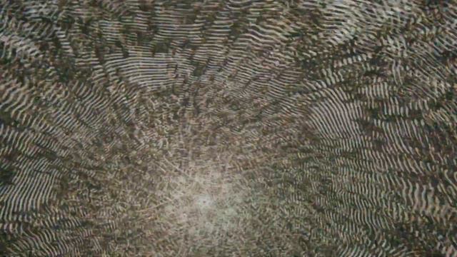 Liquid sky @ Boulder, CO planetarium смотреть онлайн