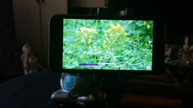 ПОЧЕМУ Я ОТКАЗЫВАЮ ТВ??? ВЕДЬМИНА ИЗБА ● ИНГА ХОСРОЕВА смотреть онлайн