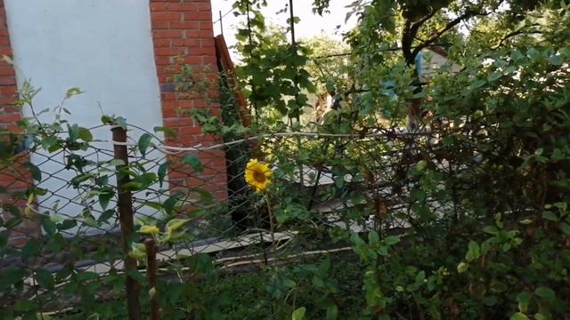 Влог/Жизнь на юге/Всё будет хорошо/Работы мужа/Переезд в Краснодар смотреть онлайн