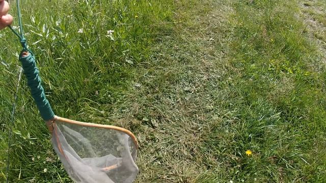 Обзор самодельного подсачека смотреть онлайн