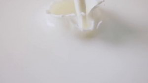 Кофеварка рожкового типа BORK C701: видеообзор. Как правильно сварить кофе.