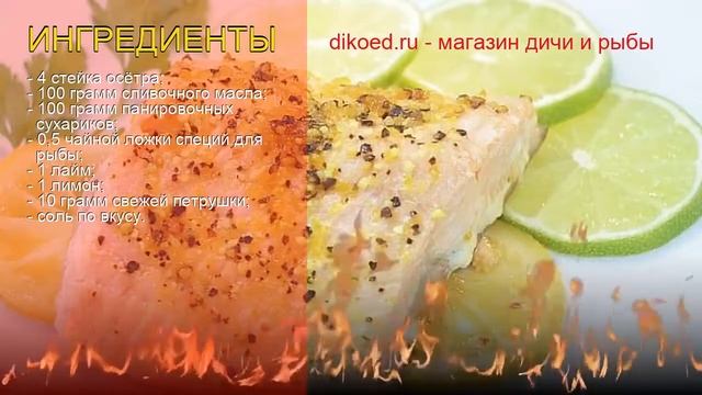 Путешествия Вокруг Света