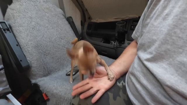 It was all going well until this HAPPENED смотреть онлайн