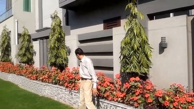 Euphorbia milii flowers in Spring Season | Asim Nawaz Garden смотреть онлайн