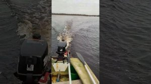 Тояма 3.6 обкатка