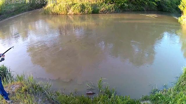 Обкатуем Бандита по Лесам Полям Мотоциклы из китая#ОбкатуемБандитапоЛесамПолям #мотоблог#Мотобудни2