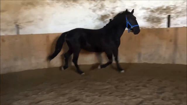 карлуха смотреть онлайн