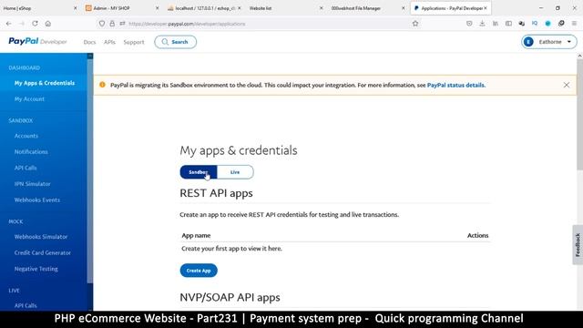 #231 PHP Ecommerce website development | Payment system preparation | MVC OOP - Quick programming смотреть онлайн