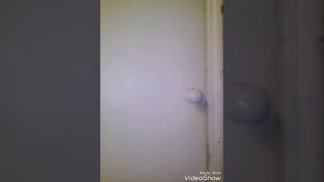 Что я делаю после школы или голова чешется смотреть онлайн