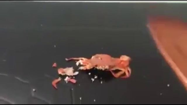Crab Gets Sent To Sovngarde! смотреть онлайн