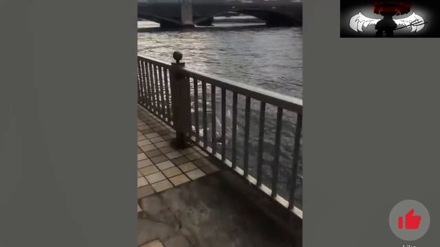 Ёма ё №16 смотреть онлайн