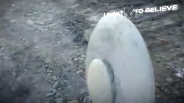 Земля вымирала неоднократно и до динозавров: кто мог вымереть? смотреть онлайн