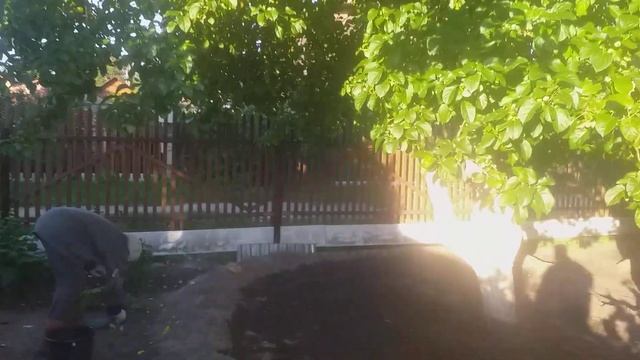 дача 49 смотреть онлайн