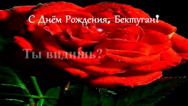 С Днём Рождения, Бектуган! смотреть онлайн