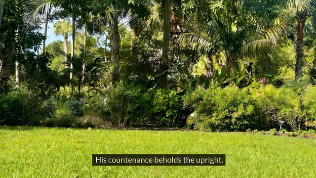 Pray with the psalms part 4 || Psalms 10, 11, 12 and 13 смотреть онлайн