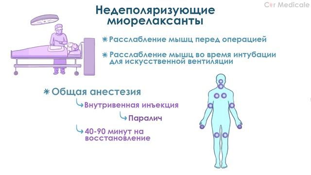 Миорелаксанты или нейромышечные блокаторы: механизм действия, препараты, побочные эффекты, показани смотреть онлайн