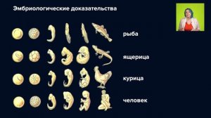 Доказательства эволюции