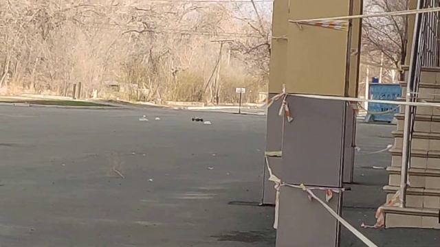 Truggy 1:10 радиоуправляемая машинка смотреть онлайн