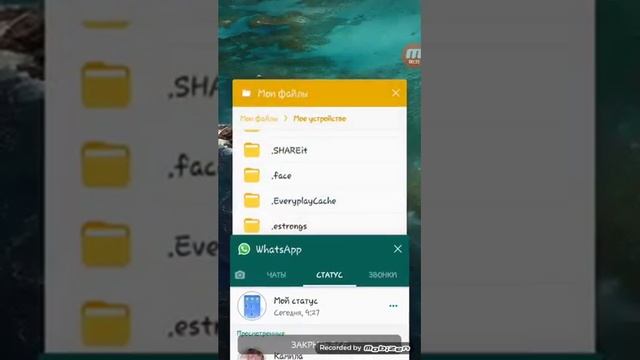 Как скачать статусы из whatsapp без программ. Қалай whatsapp-тан статусты көшіруге болады. смотреть онлайн