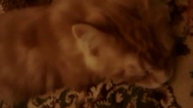 И снится нам зелёная трава ))) смотреть онлайн