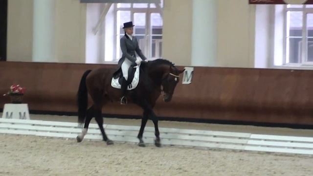 Выездковый учитель - Ганноверский жеребец в аренду или на продажу смотреть онлайн