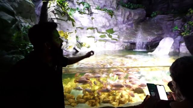 Visiting Marine World Aquarium | M4 Tech Vlog | смотреть онлайн