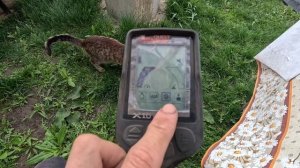 Самый простой металлоискатель. Показываю свои настройки на металлоискателе QUEST X10 PRO