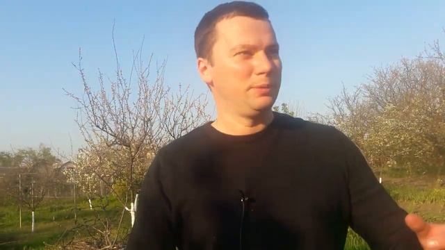 Капельный полив винограда - виноград ч.2 смотреть онлайн