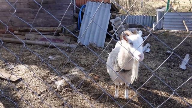 Дом в посёлке Волга смотреть онлайн