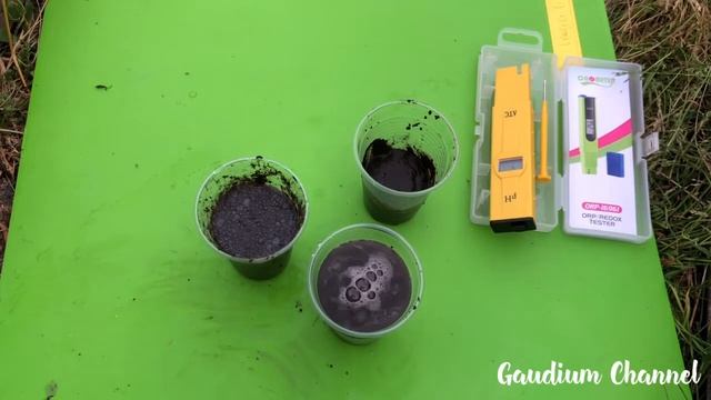 Проверить кислотность почвы простой и доступный способ Проверка смотреть онлайн