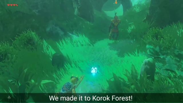 Getting a Yiga to Pull the Master Sword! | Zelda: Breath of the Wild смотреть онлайн
